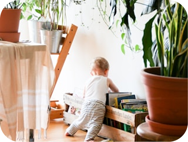 Équipement mobilité pour Bébé
